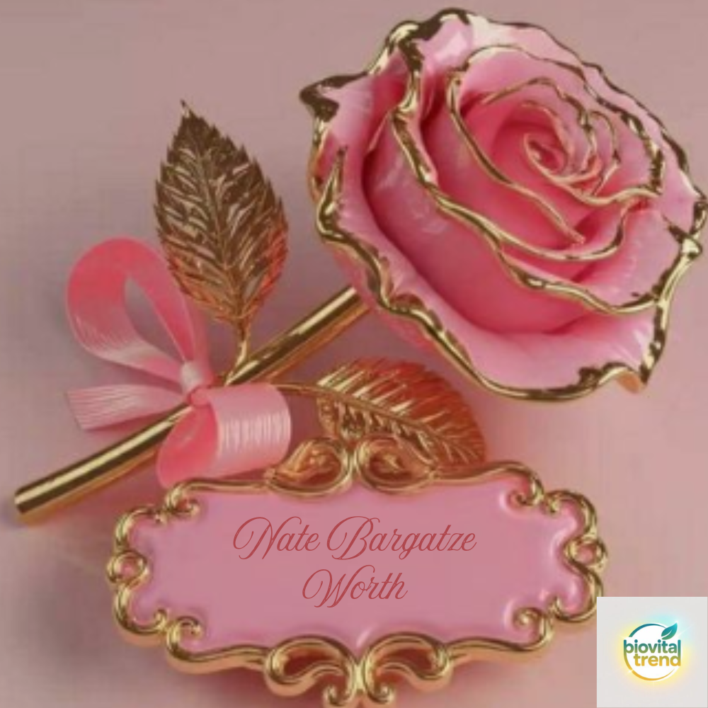 Nate Bargatze Worth